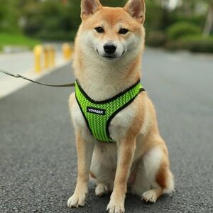 Voyager lime green & black step in dog harness, size large, NIB.